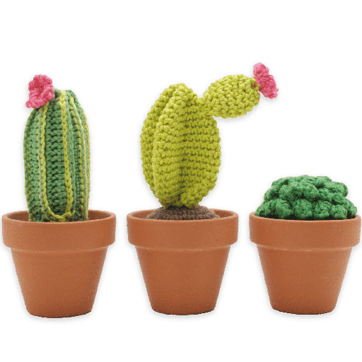 [HC-40MB013] Cactussen