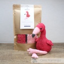 Chris Flamingo