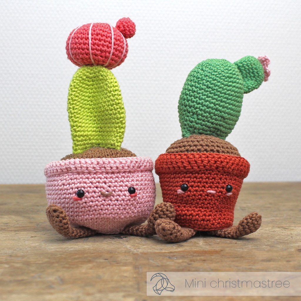 Schijf Cactus