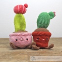 Schijf Cactus