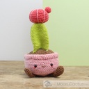 Moon Cactus