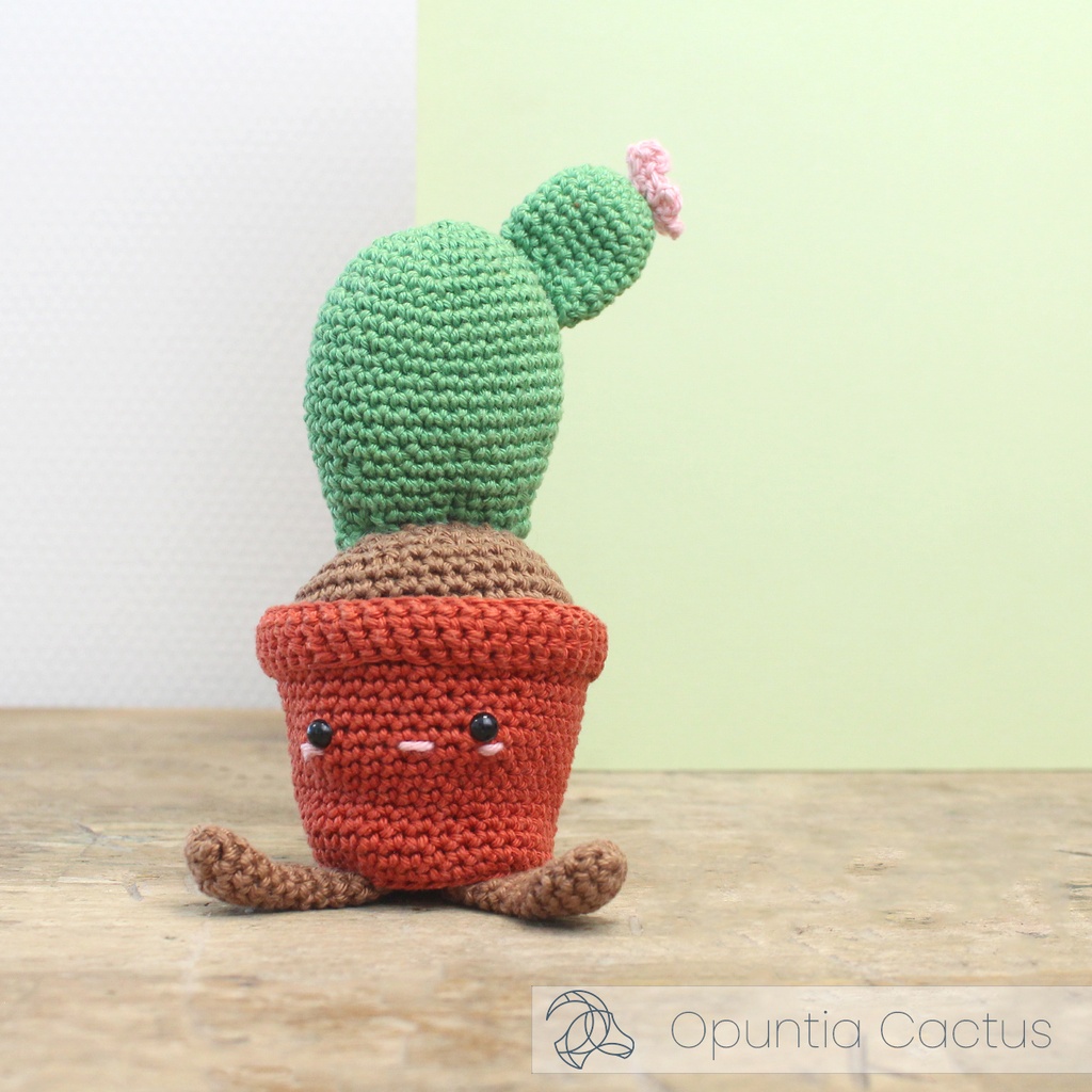 Opuntia Cactus