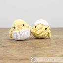 Kuikens