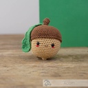 Acorn