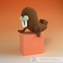 Willem Walrus