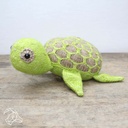 Ties Zeeschildpad