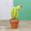 Cactussen