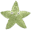 Sterre Starfish