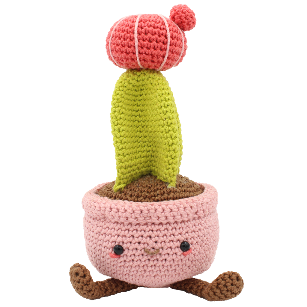 Moon Cactus