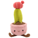 Moon Cactus