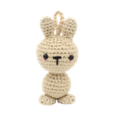 Mini Bunny