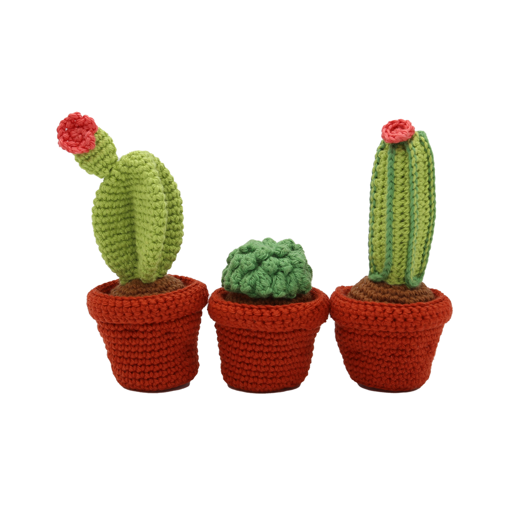Cactussen