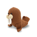 Willem Walrus