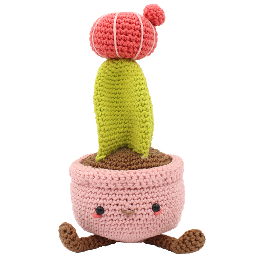 [HC-40MB130] Moon Cactus