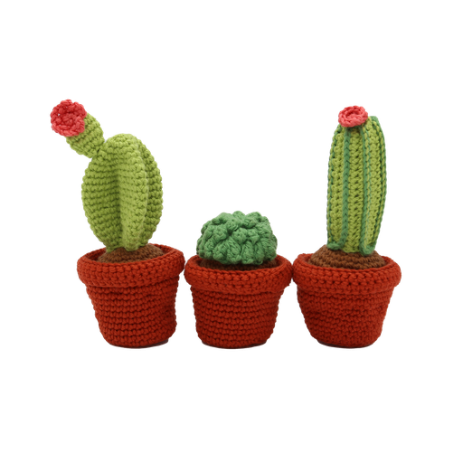 [HC-40MB147] Cacti